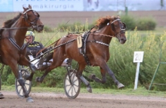 Plisetska Birdland Derby-karsinnassa (c) Kaisa Steng&aring;rd