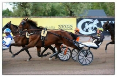 Plisetska Birdland Derby-karsinnassa (c) Risto Silvola