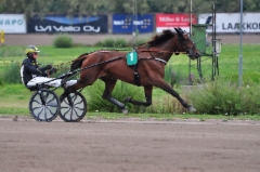 Plisetska Birdland Derbyp&auml;iv&auml;n&auml; 010918 (c) Ravurienmatkassa