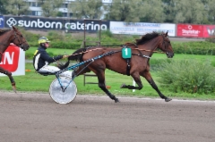 Plisetska Birdland Derbyp&auml;iv&auml;n&auml; 010918 (c) Ravurienmatkassa