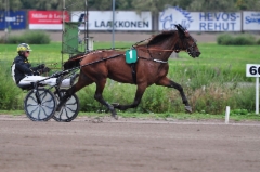 Plisetska Birdland Derbyp&auml;iv&auml;n&auml; 010918 (c) Ravurienmatkassa