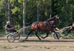 Flashback Jack Lehtosen tallilla 07/2025