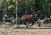 Flashback Jack Lehtosen tallilla 07/2025