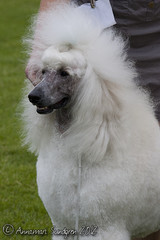 Hilda 2012