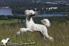 hilda_10
