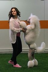 aunehalli6