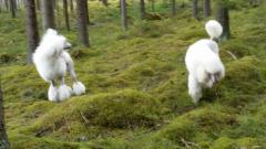 kanny_5.2015_779