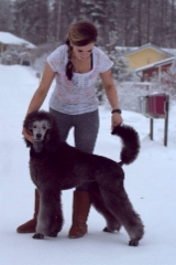 saara_7_m_2