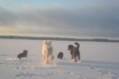 kanny_tammikuu16_283__kopio