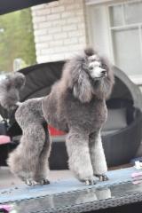 517826326_10234712125178502_5579359832901111194_n