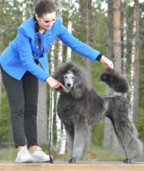 517999633_10234714230671138_6481616251526064769_n