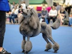 529720716_10235111935453509_2285702289054313708_n