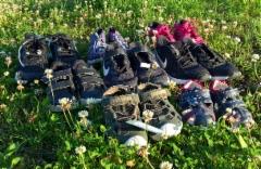 wp_20190207_10_11_55_pro_2