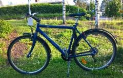 wp_20190207_10_15_57_pro_2