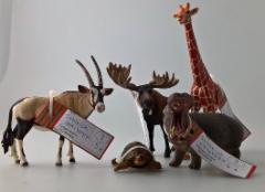 wp_20190830_18_15_19_pro_2