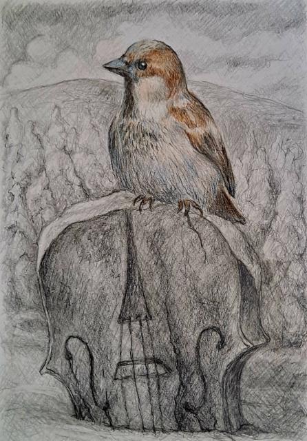 varpunen_2025_grafiitti_ja_varikynat_50x40