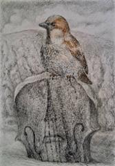 varpunen_2025_grafiitti_ja_varikynat_50x40