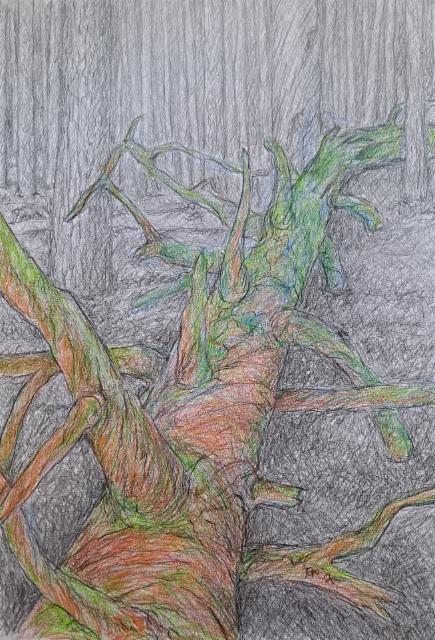 kelo_2025_grafiitti_ja_varikynat_50x40