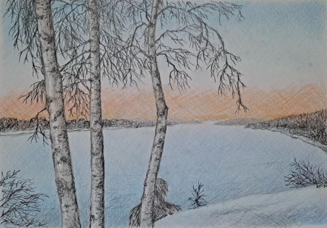 pakkanen_2024_lyijy-_javarikynat_30x40