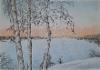 pakkanen_2024_lyijy-_javarikynat_30x40