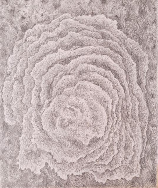 kallioseinakukka_40x50_2025_grafiitti