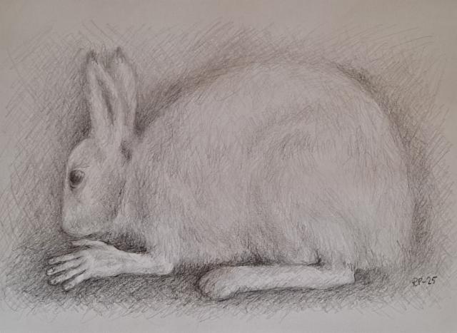 omakuvakani_grfiittikynat_2025_40x50 omakuvakani_grfiittikynat_2025_40x50