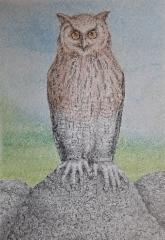 omakuva_huhkain_2025_grafiitti-_ja_varikynat_70x50