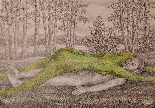 metsanpeitto_2_2025_50x70_grafiitti-_ja_varikynat metsanpeitto_2_2025_50x70_grafiitti-_ja_varikynat