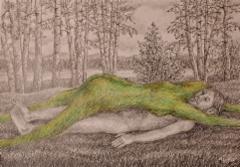 metsanpeitto_2_2025_50x70_grafiitti-_ja_varikynat