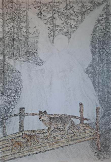 suojelus_2026_grafiitti-_ja_varikynat_70x50