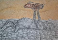 kuningatar_ja_kuhnuri_grafiitti-_ja_varikynat_2026_40x50 kuningatar_ja_kuhnuri_grafiitti-_ja_varikynat_2026_40x50