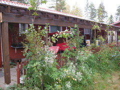 19.9.2013_syksy_jo_saa_031