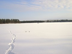 Ice fishing