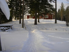 Snow path from the lake to the cottage