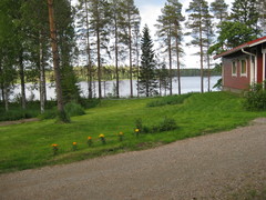 Volleyball and badminton are near the lake