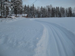 Ski trick to the cottage