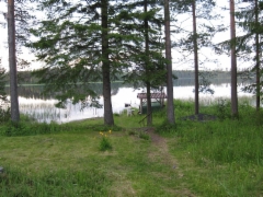 The path to the lake