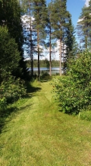 Grass field