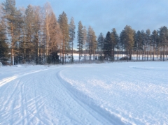 Winter road for skiing