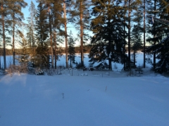 The view to the lake in the winter