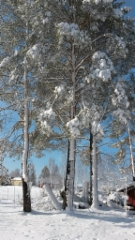 Piham&auml;nnyt talvipuvussa