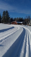 Skiing routes go to Kallioranta cottage