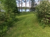 Grass in Kallioranta