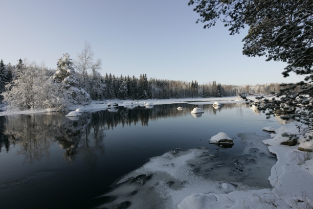 A river in the Winter