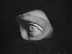 David's Eye by Michelangelo