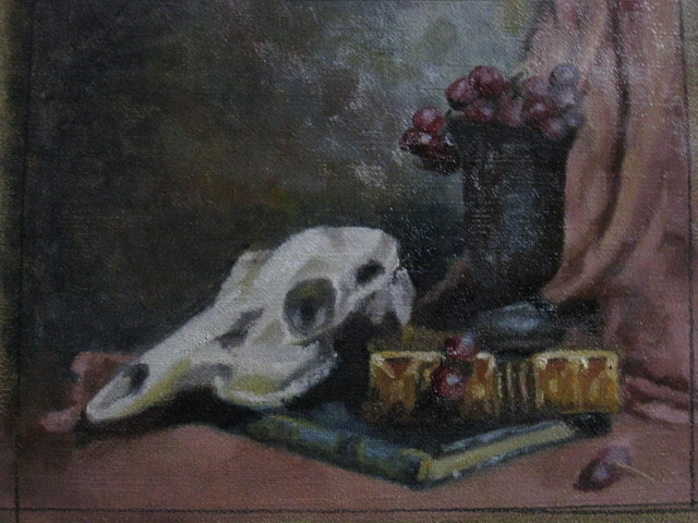 Sheep skull