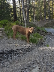 mi_05