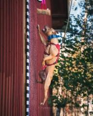 myynti-09204_1
