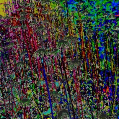 wp_20190627_12_24_28_b