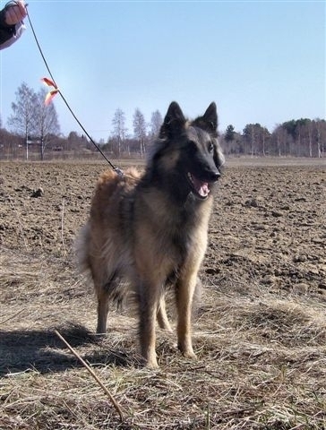 Parikkala ry 29.4.06